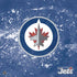 NHL Winnipeg Jets Frozen PS4 Controller Skin
