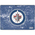 NHL Winnipeg Jets Frozen Surface Pro 8 Skin