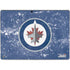 NHL Winnipeg Jets Frozen Surface Pro 9 Skin