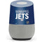 NHL Winnipeg Jets Lineup Google Home Skin