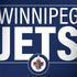 NHL Winnipeg Jets Lineup HP Spectre Skin