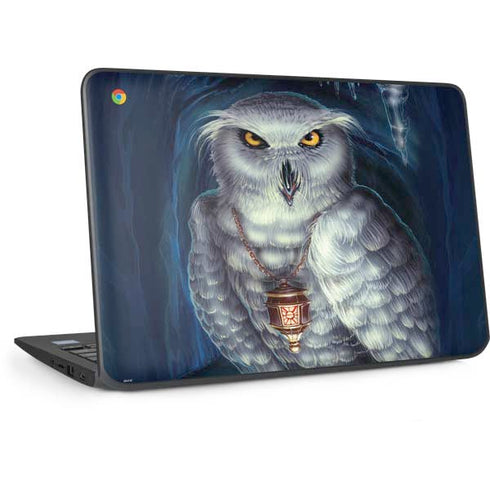 White Owl by Ed Beard Jr HP Chromebook Skin