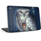 White Owl by Ed Beard Jr HP Chromebook Skin