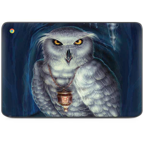 White Owl by Ed Beard Jr HP Chromebook Skin