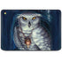 White Owl by Ed Beard Jr HP Chromebook Skin