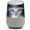 Ed Beard Jr. White Owl Google Home Skin