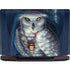 Ed Beard Jr. White Owl Legion Y720 Skin