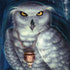 Ed Beard Jr. White Owl Surface Book 2 13.5in Skin