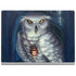 Ed Beard Jr. White Owl Surface Book 2 15in Skin