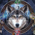 Brigid Ashwood Wolf Symbols HP Spectre Skin