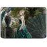 Woman with Peacocks by Nene Thomas HP Chromebook Skin