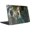 Woman with Peacocks by Nene Thomas Dell Vostro Skin