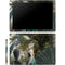Woman with Peacocks by Nene Thomas Galaxy Book 12in Skin