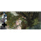 Woman with Peacocks by Nene Thomas Xbox Adaptive Controller Skin