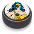 DC Comics Wonder Woman Classic Art Pose Amazon Echo Dot Skin
