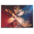 DC Comics Wonder Woman Profile Character Poster HP Envy Skin