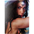 DC Comics Wonder Woman Battle Ready Poster PS5 Bundle Skin