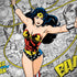 DC Comics Wonder Woman Classic Action Pose Notebook 9 Pro 13in (2017) Skin