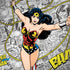 DC Comics Wonder Woman Classic Action Pose Surface Book 2 15in Skin