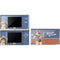 DC Comics Bombshells Wonder Woman Bombshell DS Lite Skin