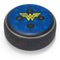 DC Comics Wonder Woman Emblem on Flag Amazon Echo Dot Skin