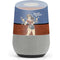 DC Comics Bombshells Wonder Woman Bombshell Google Home Skin