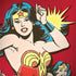 DC Comics Wonder Woman Vintage Action pose Galaxy Note 8 Skin