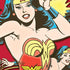 DC Comics Wonder Woman Vintage Action pose Moto E5 Play Skin