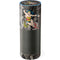 DC Comics Wonder Woman Vintage pose pattern Amazon Echo Skin