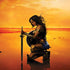 DC Comics Wonder Woman Character Movie Poster iPhone XS Skin