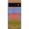 Wonder Woman 1984 (2020) Rainbow Chevron Logo Google Pixel 6 Pro Skin