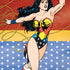DC Comics Wonder Woman Ready to Fight iPhone XS Skin