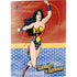 DC Comics Wonder Woman Ready to Fight PS5 Digital Edition Bundle Skin