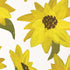 Cat Coq Sunflower Acrylic Nintendo 2DS XL (2017) Skin