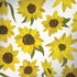 Sunflower Acrylic by Cat Coq Dell Alienware Skin