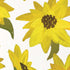 Cat Coq Sunflower Acrylic Moto E5 Play Skin