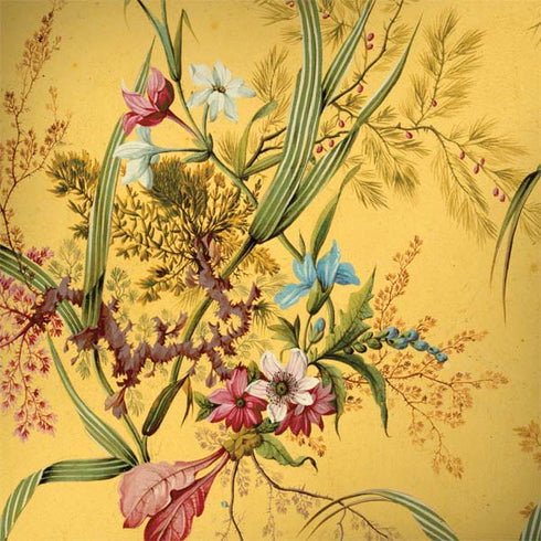 William Kilburn Yellow Marble End Surface Book 2 15in Skin