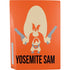 Looney Tunes Yosemite Sam Identity PS5 Bundle Skin