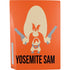 Looney Tunes Yosemite Sam Identity PS5 Console Skin