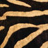 Zebra Animal Print iPhone XR Skin