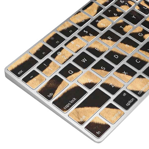 Zebra Animal Print Magic Keyboard Skin