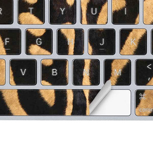Zebra Animal Print Magic Keyboard Skin