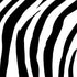 Zebra Print Nintendo 2DS XL (2017) Skin