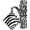 Zebra Print Amazon Fire TV Skin