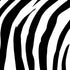 Zebra Print Moto E5 Play Skin