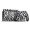 Zebra Print Nintendo Switch Bundle Skin