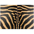 Zebra Animal Print Surface Laptop 4 15in Skin