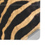 Zebra Animal Print Surface Laptop Studio Skin