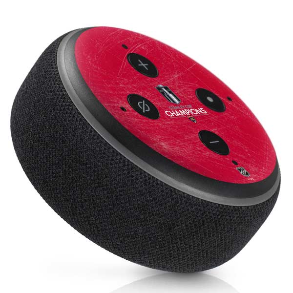 NHL 2024 Stanley Cup Champions Panthers Amazon Echo Dot Skin