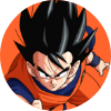 Shop Goku Designs